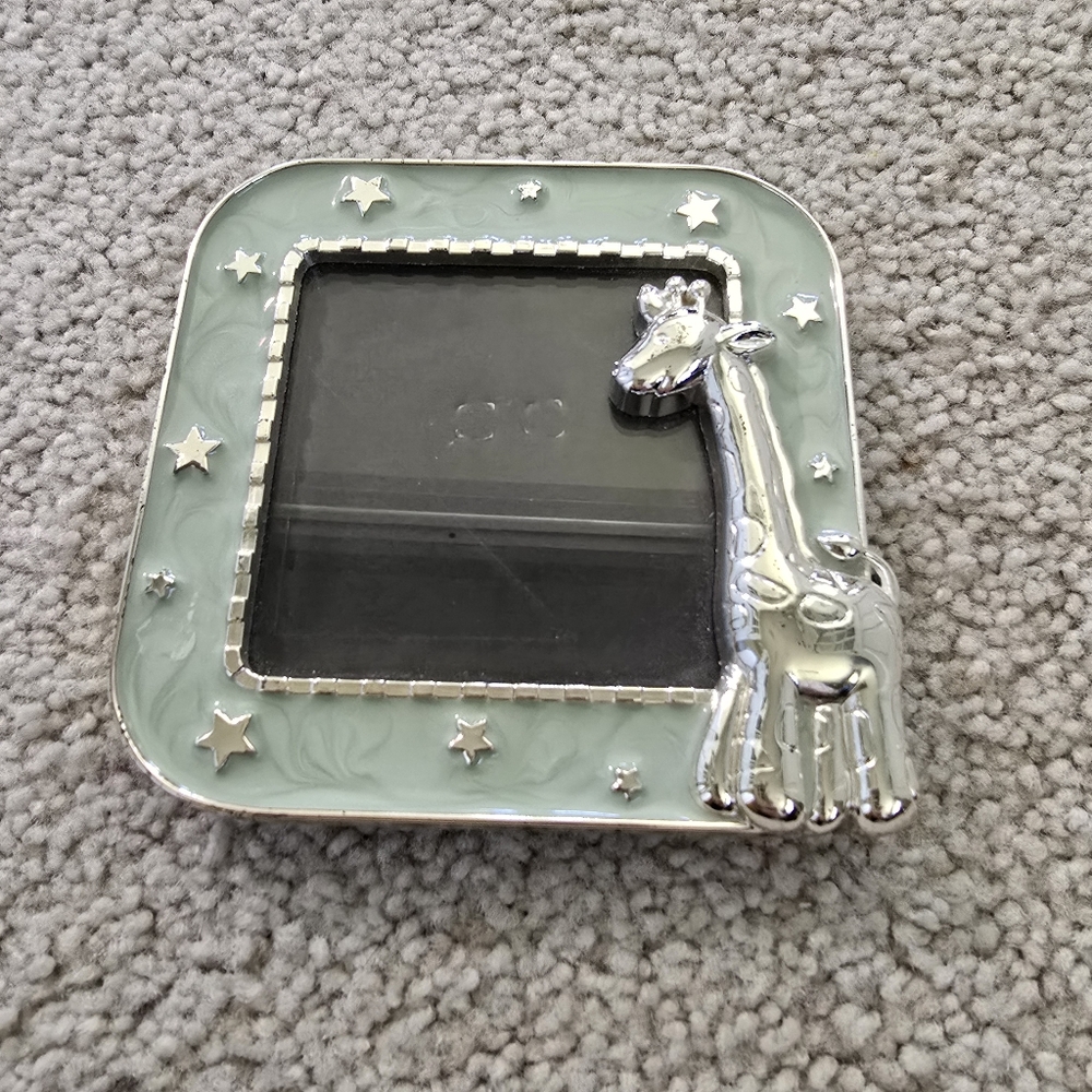 🦒Silver and Green Star-Embellished Picture Frame